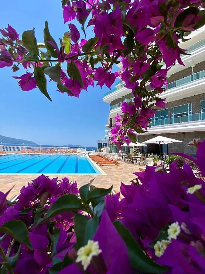 Toto Hotel & Apartments location