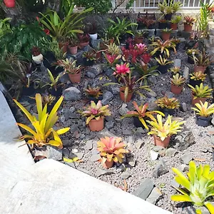 https://case-rouge.comcaribbean.com